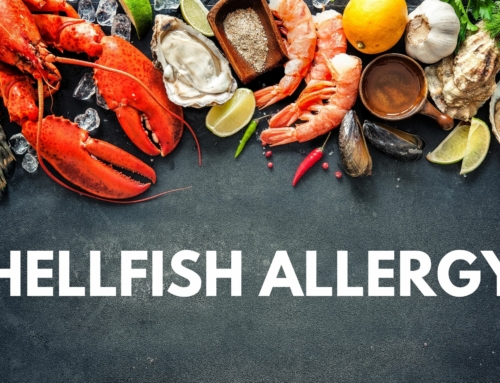 Shellfish Allergy? Here Are 5 Thai Dishes You Shouldn’t Be Scared To Try and Enjoy!